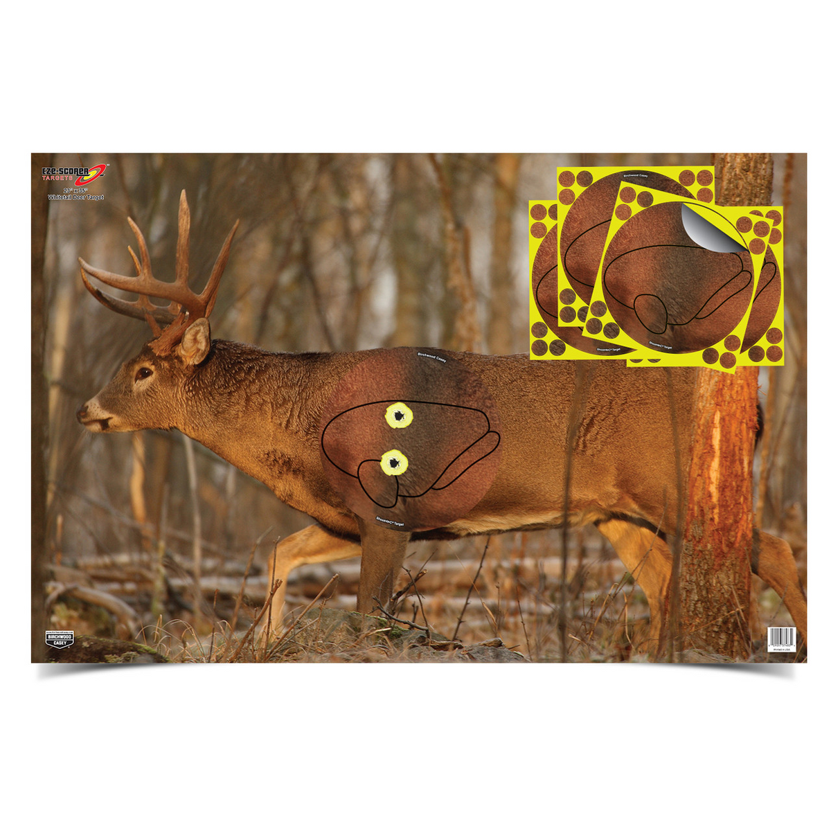 Eze-Scorer 23 x 35 Whitetail Deer Target