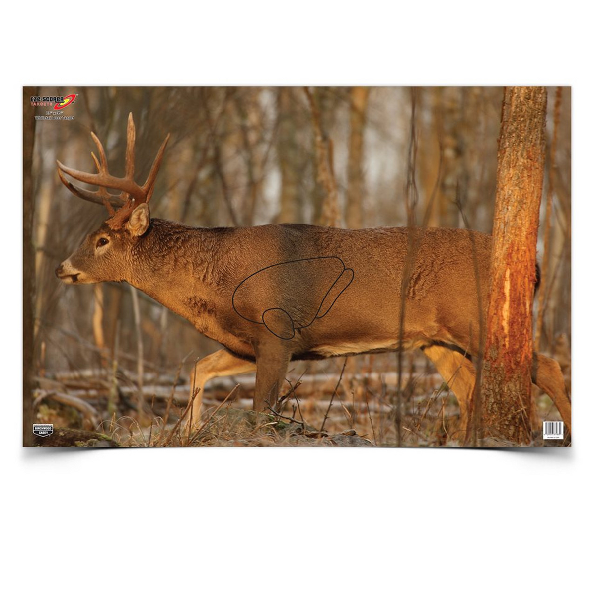 Eze-Scorer 23 x 35 Whitetail Deer Target, 2 Targets