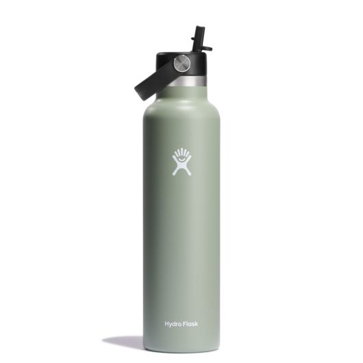 Standard Mouth 24oz Insulated Water Bottle w/ Flex Straw