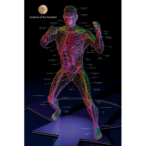 Training Posters