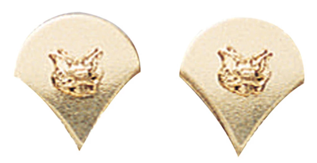 Spec-4 Polished Insignia