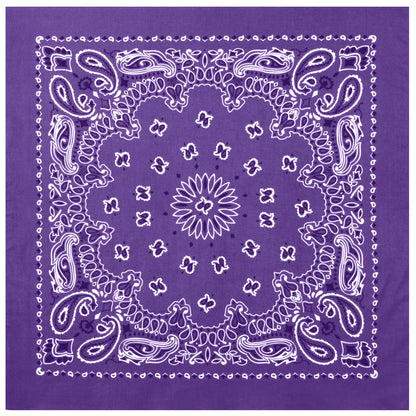 Trainmen Paisley Bandana - 22" X 22"