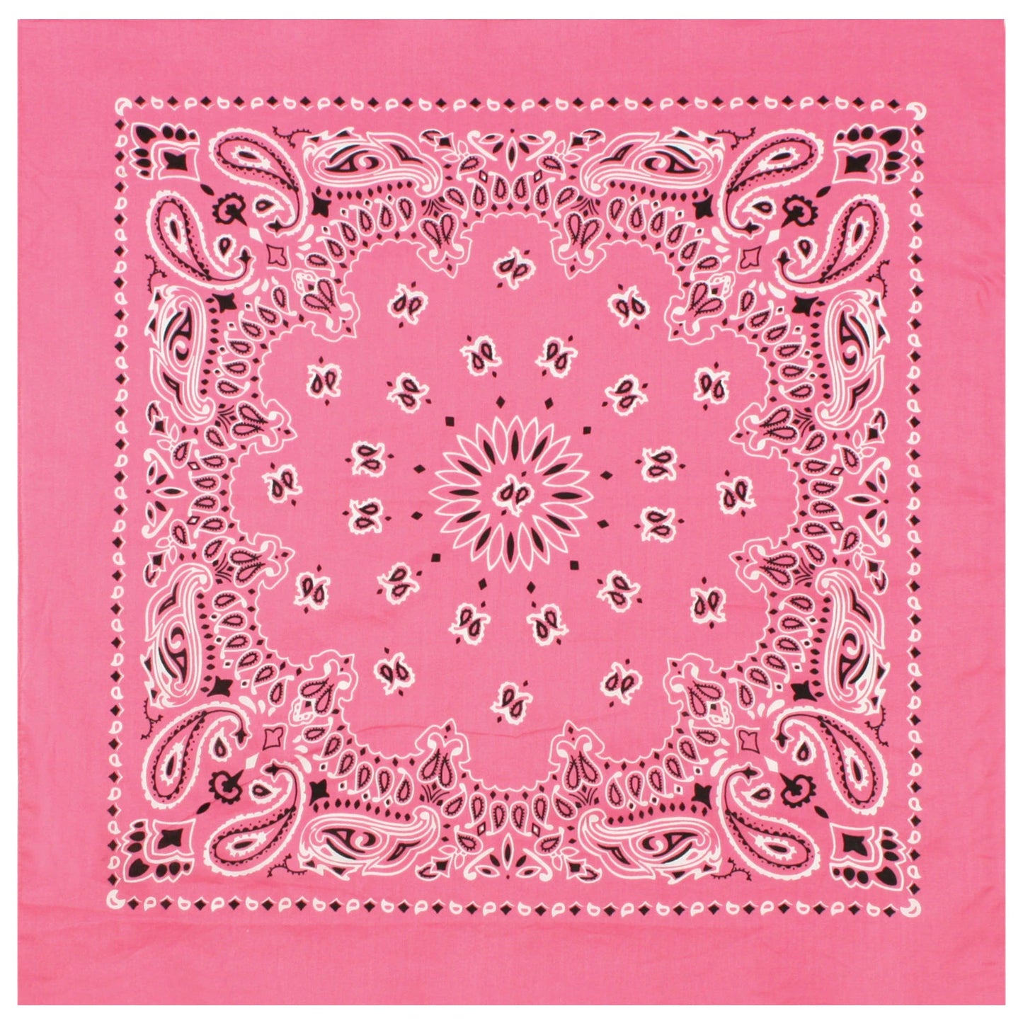 Trainmen Paisley Bandana - 22" X 22"