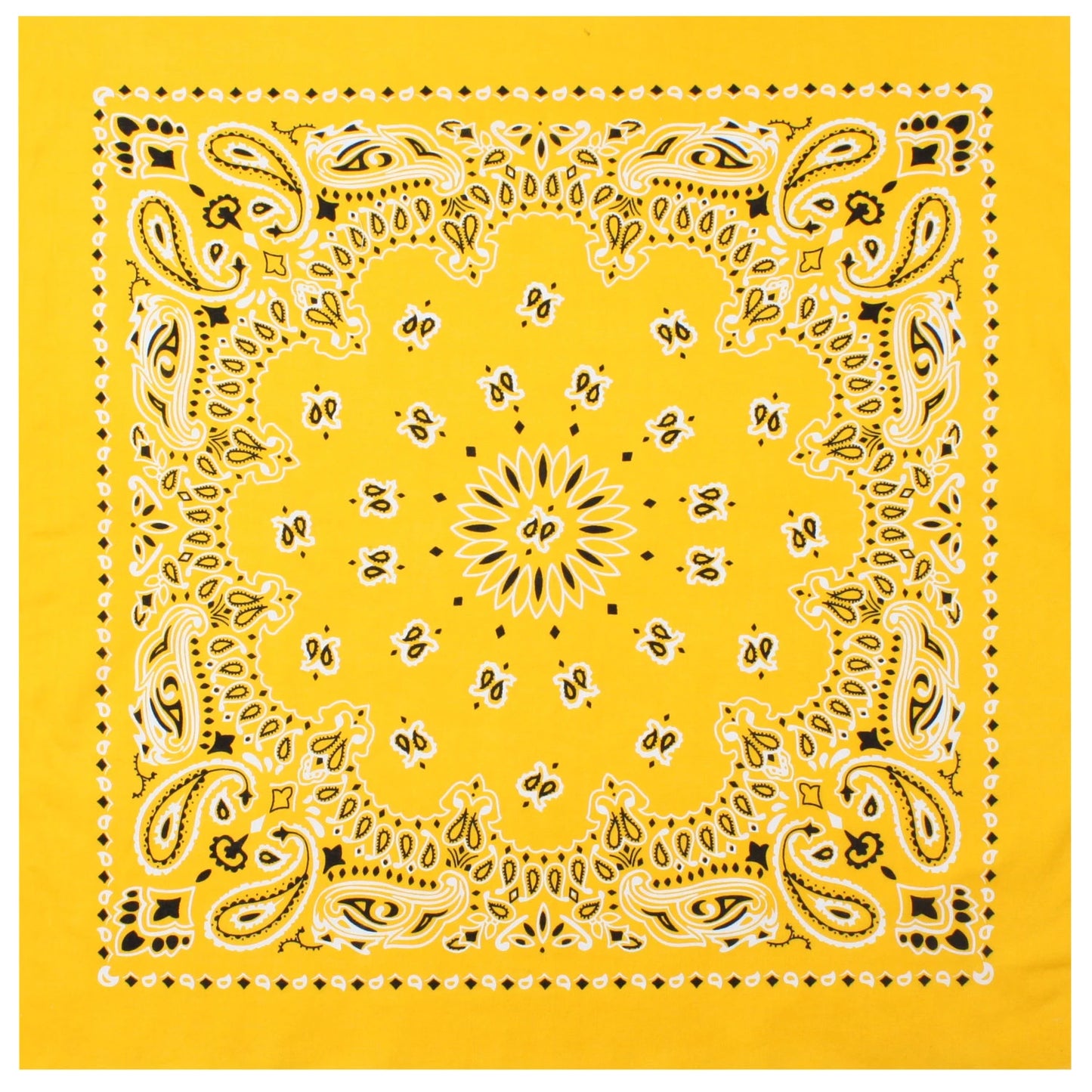 Trainmen Paisley Bandana - 22" X 22"
