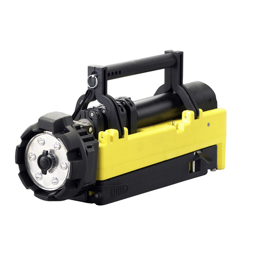 Portable Scene Light with 120V AC/12V DC