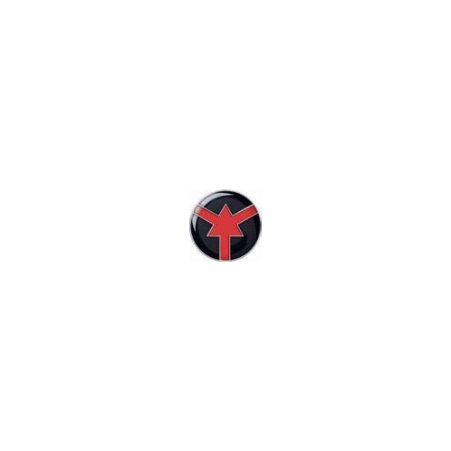 Lapel Pin