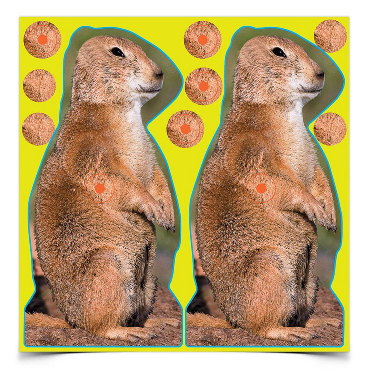 Shoot-N-C 8 Inch Prairie Chuck, 12 Targets - 48 Pasters