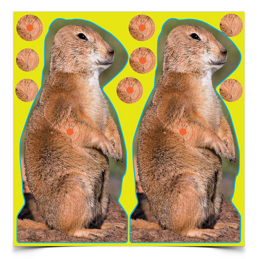 Shoot-N-C 8 Inch Prairie Chuck, 12 Targets - 48 Pasters