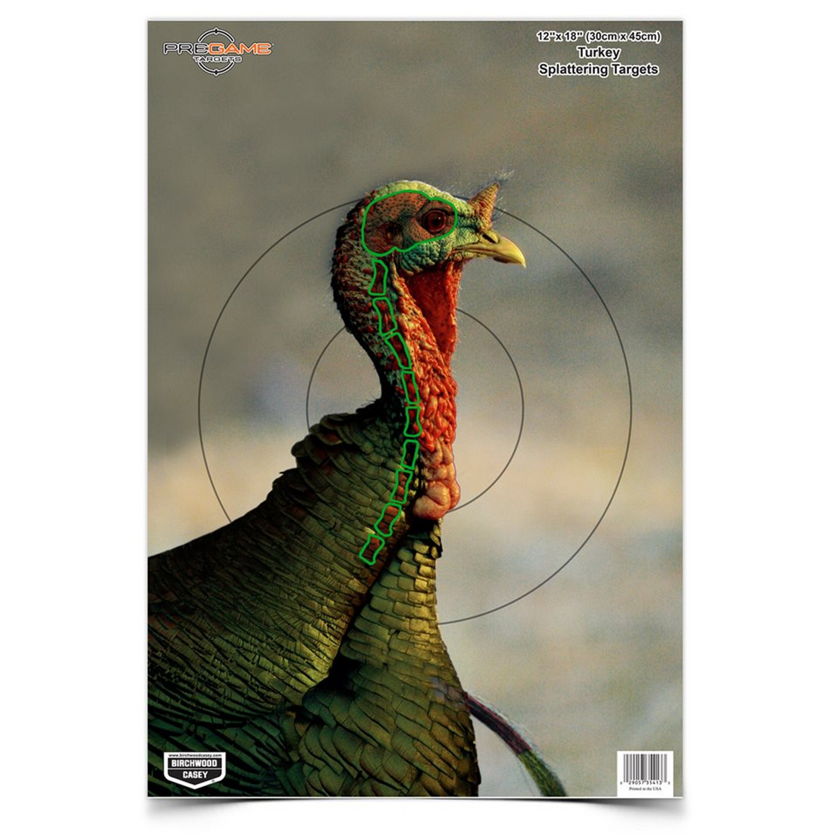 PREGAME 12 x 18 Inch Turkey, 8 Targets