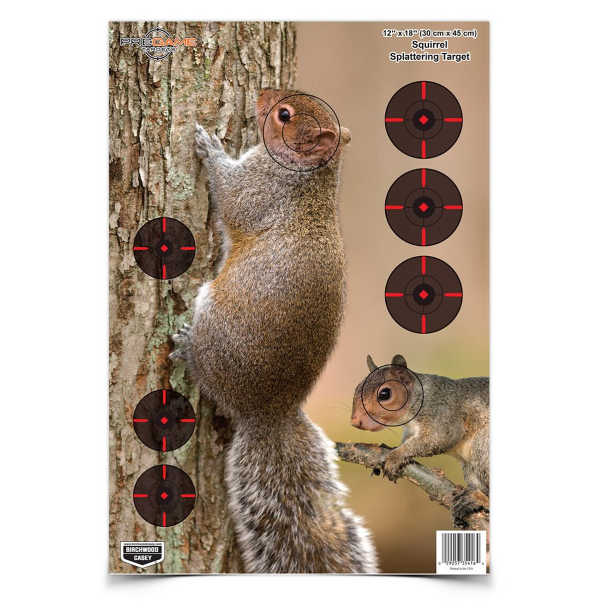 PREGAME 12 x 18 Inch Squirrel, 8 Targets