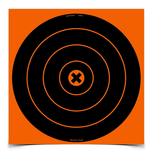 Big Burst 12 Inch Bull's-Eye Target, 3 Sheets