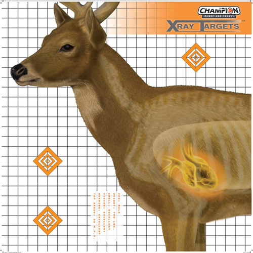 Champion Targets 45902 X-Ray 25 x 25 Targets, Deer, 6 Pack