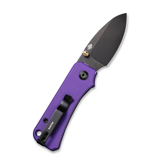 CIVIVI Baby Banter Thumb Stud Knife G10 Handle (2.34"" Nitro-V Blade) C19068S-4