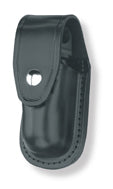 Aerosol Case