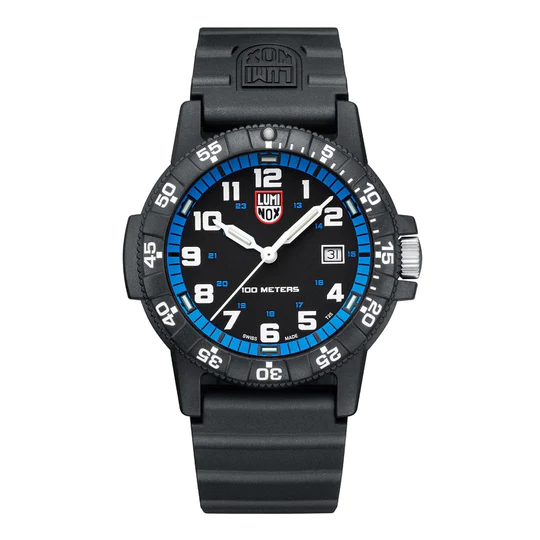 Leatherback Sea Turtle Giant Outdoor Watch