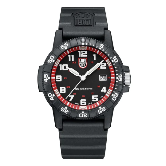 Leatherback Sea Turtle Giant Outdoor Watch