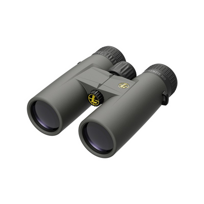 BX-1 McKenzie