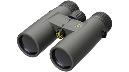 BX-1 McKenzie