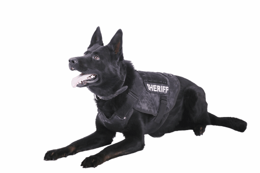 K9 Vest