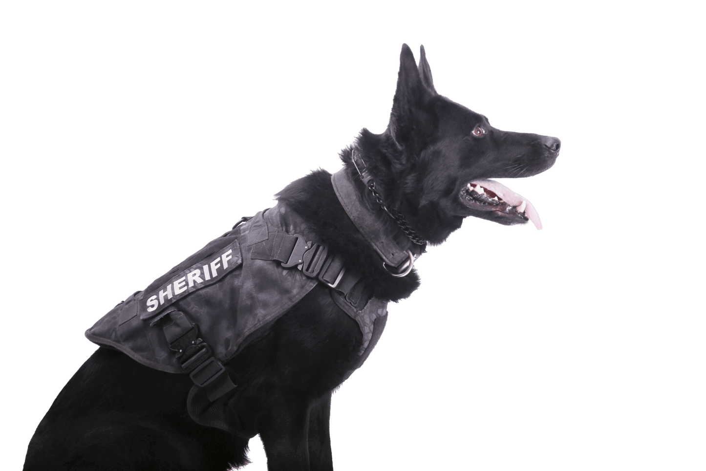 K9 Vest