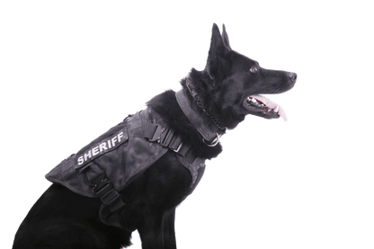 K9 Vest