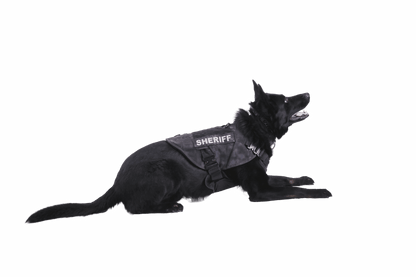 K9 Vest