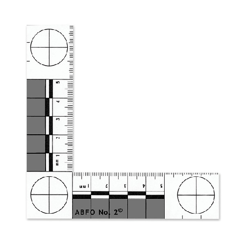 Abfo No. 2 Photomacrographic Scale