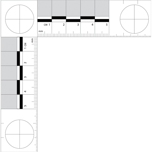 Forensic Scale 105mm X 105mm